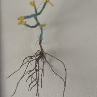 plantenwortel katoen koperdraad
23x14x10 cm