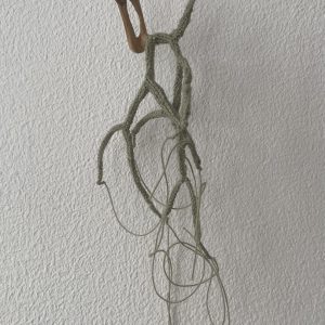 hout katoen
22x7x7 cm