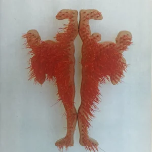 mdf ijzerdraad plastic 29x23x15 cm